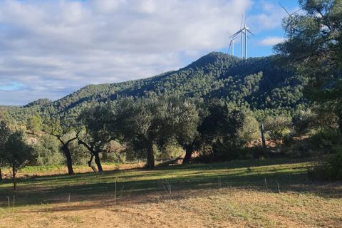 Landejendom i Asco, Tarragona, Asco - € 29.000 | Ref: 1003 Pasco - foto 21
